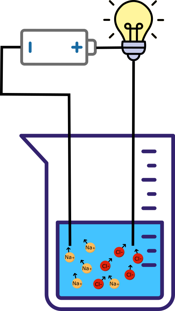 Schemat przewodnictwa jonowego na przykładzie wodnego roztworu soli kuchennej