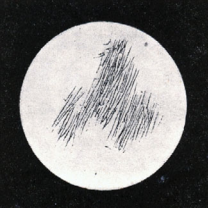 Syrtis Major Planum (największy ciemny obszar na powierzchni Marsa) naszkicowany przez Christiaana Huygensa w 1659 r. (północ jest na górze)