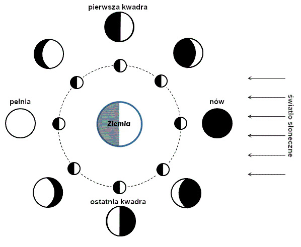 Schemat przedstawiający fazy Księżyca i zmiany w jego oświetleniu